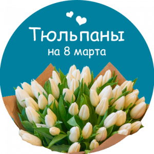 Купить тюльпаны в Абинске